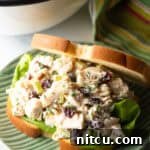 Cranberry chicken salad sandwich with top mostly open to show the salad and fresh greens inside.