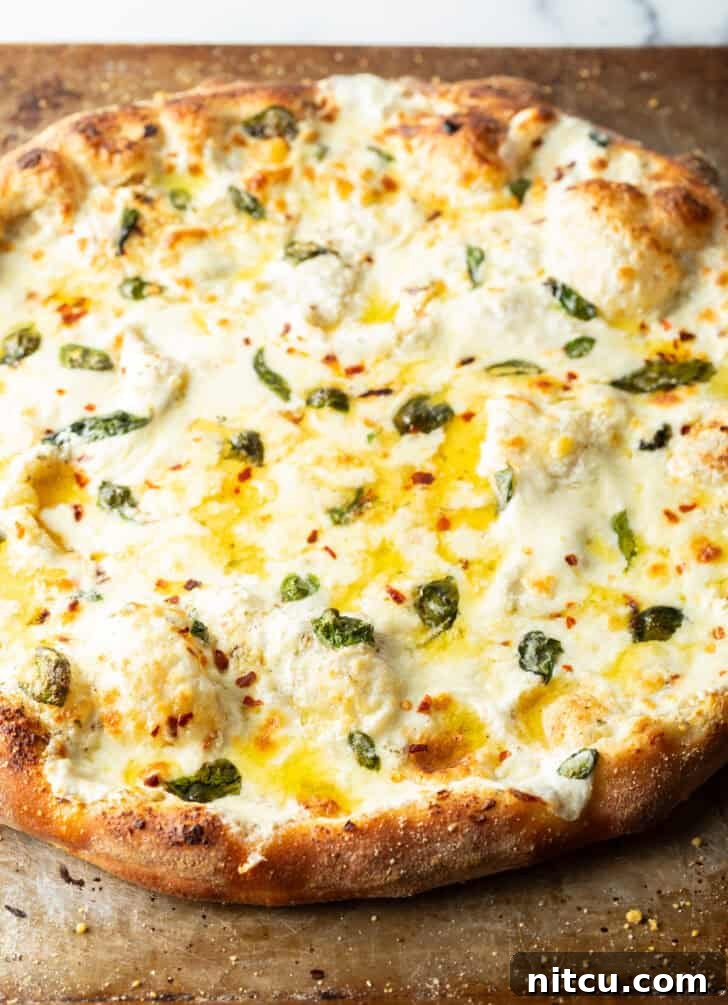 Baked whole white pizza on a baking sheet, ready to be sliced.