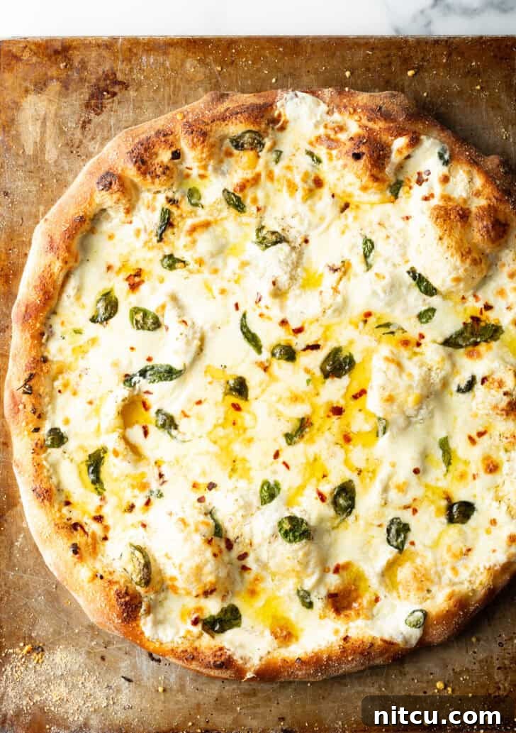 Top down view of a whole baked white pizza on a baking sheet, golden and delicious.