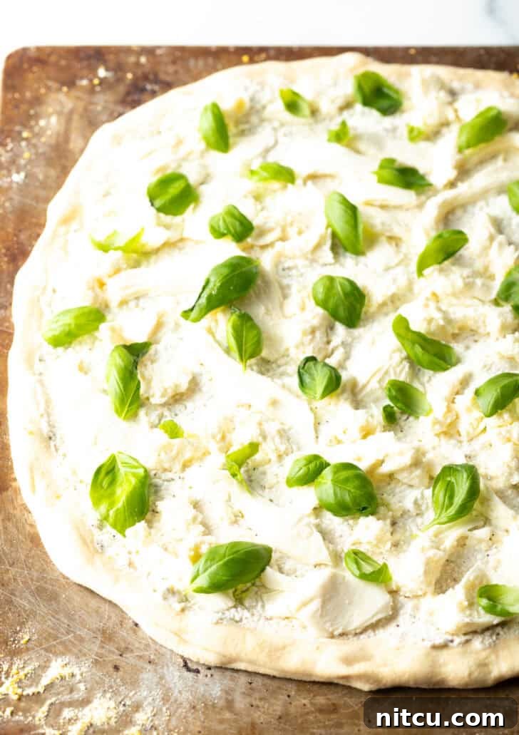 Unbaked pizza with white sauce and fresh baby basil leaves scattered on top.