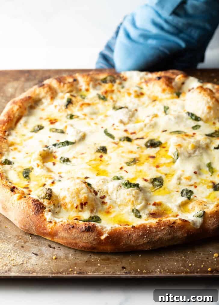 Baked whole white pizza on a baking sheet, golden and perfectly cooked.