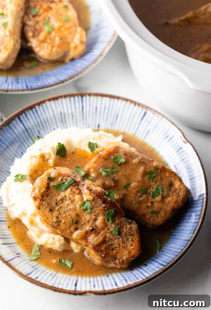 Two boneless pork chops arranged on a bed of creamy mashed potatoes, generously draped with rich brown onion gravy, ready to be enjoyed.
