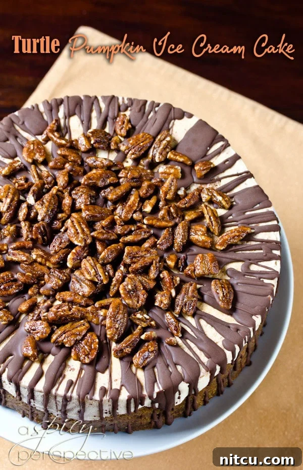 A slice of Turtle Pumpkin Ice Cream Cake on a plate, showcasing its layers of gingersnap crust, dulce de leche, pumpkin ice cream, chocolate shell, and candied pecans.
