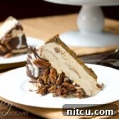 A high-angle shot of a beautifully presented Turtle Pumpkin Ice Cream Cake, glistening with chocolate shell and pecans.