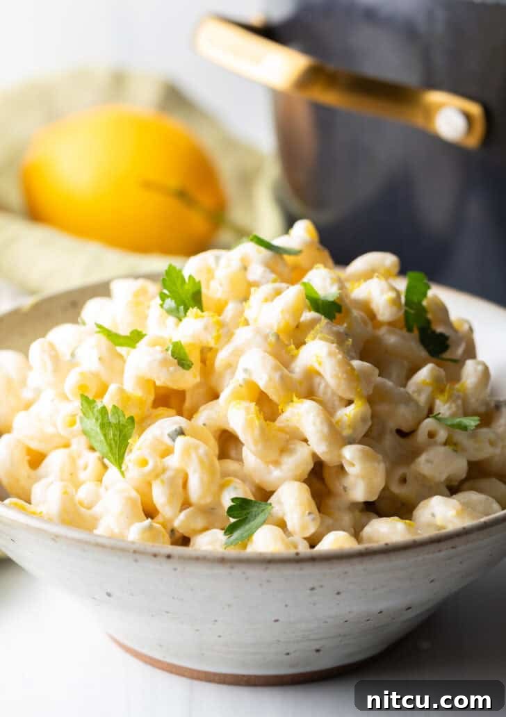 A large bowl of creamy Boursin cheese pasta, garnished with vibrant green chopped parsley, presented beautifully.