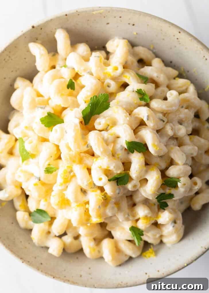A large bowl filled with Boursin cheese pasta, beautifully garnished with vibrant chopped parsley for a fresh touch.