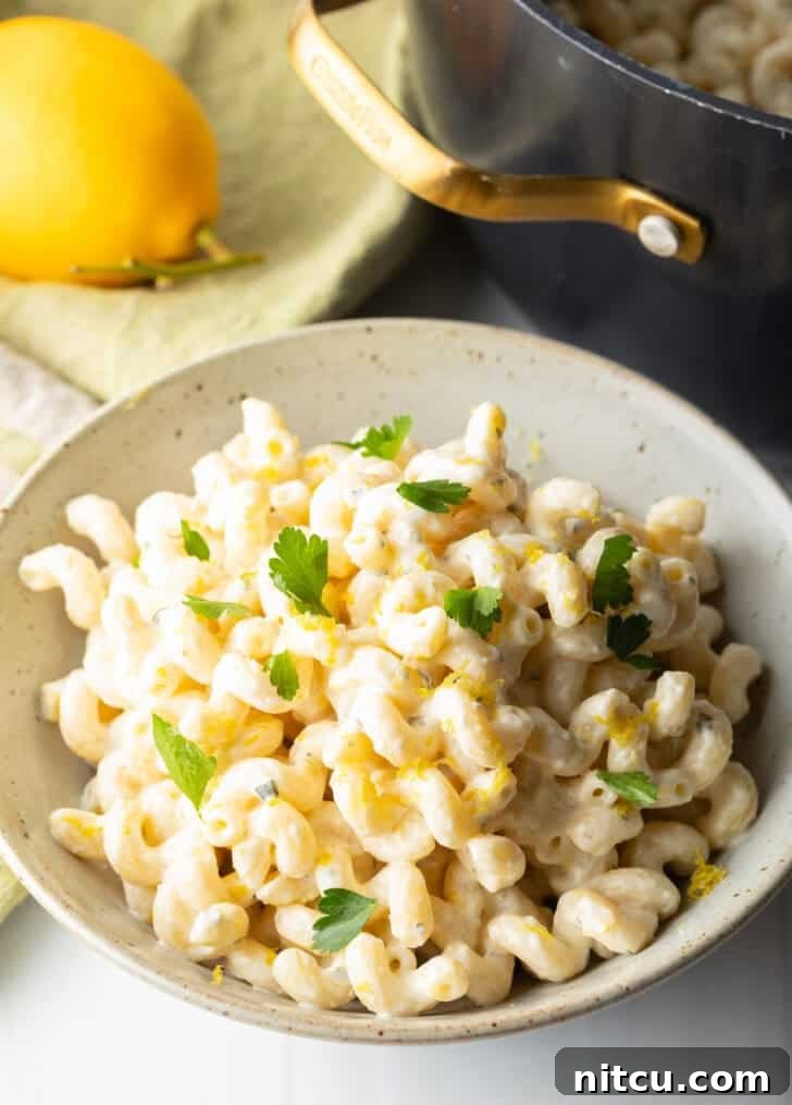 A large, inviting bowl of creamy Boursin cheese pasta, garnished with fresh chopped parsley, ready for serving.
