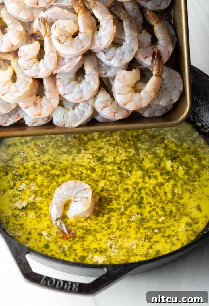 Raw shrimp being carefully added to a hot skillet containing sizzling garlic butter and fragrant herbs, preparing for cooking.