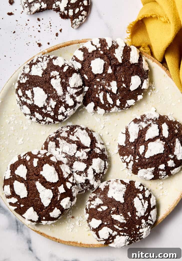 Easy Mexican Crinkle Cookies on plate after baking, showcasing their delightful crinkled texture.
