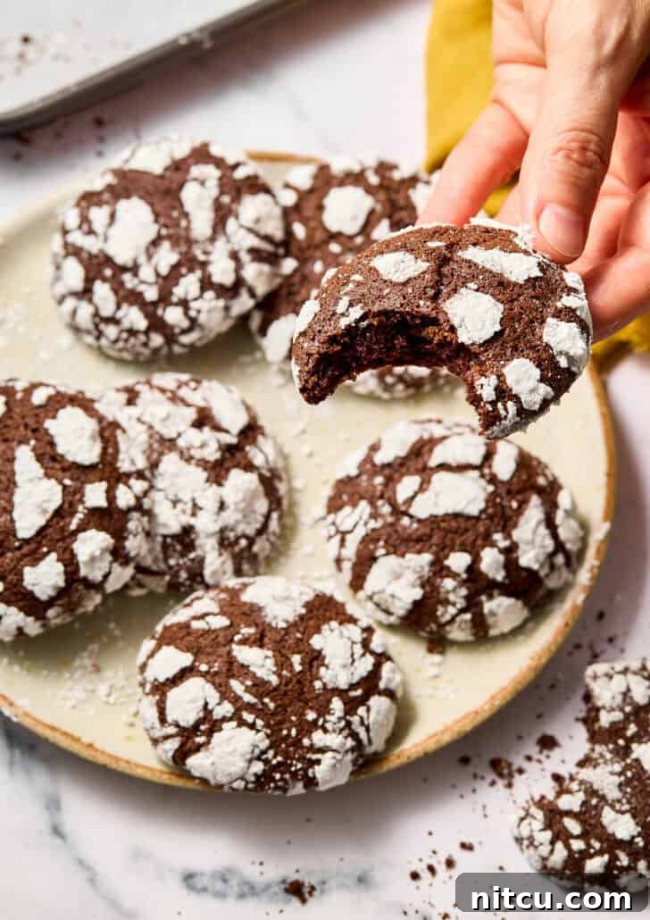 Chocolate Crinkle Cookies Recipe - one cookie lifted by hand with bite taken out, showing the soft, moist texture inside.