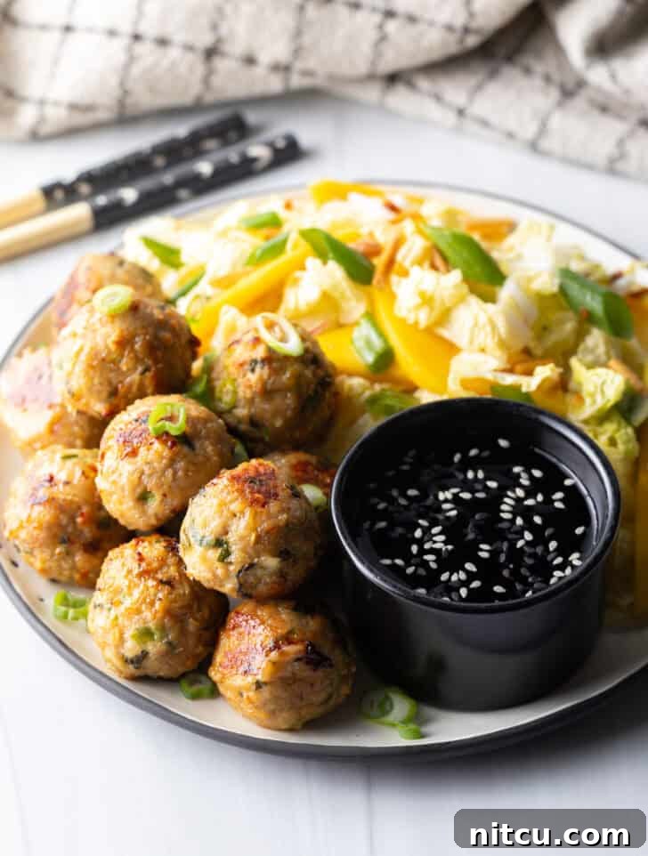 Close-up of a plate with Thai turkey meatballs, a fresh Asian salad, and a ramekin of dipping sauce.