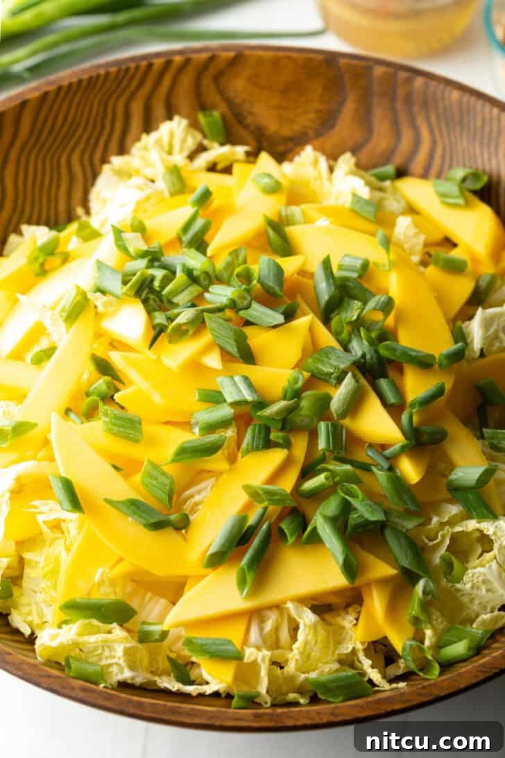 Bowl with shredded cabbage, green onion slices, and slices of mango.