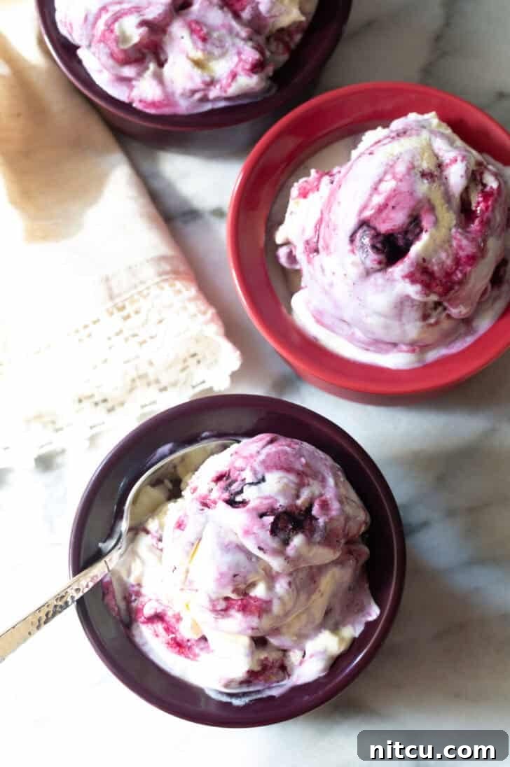 Overhead shot of three elegant bowls of blueberry pie ice cream, each featuring a generous scoop and a spoon, inviting guests to dig in.