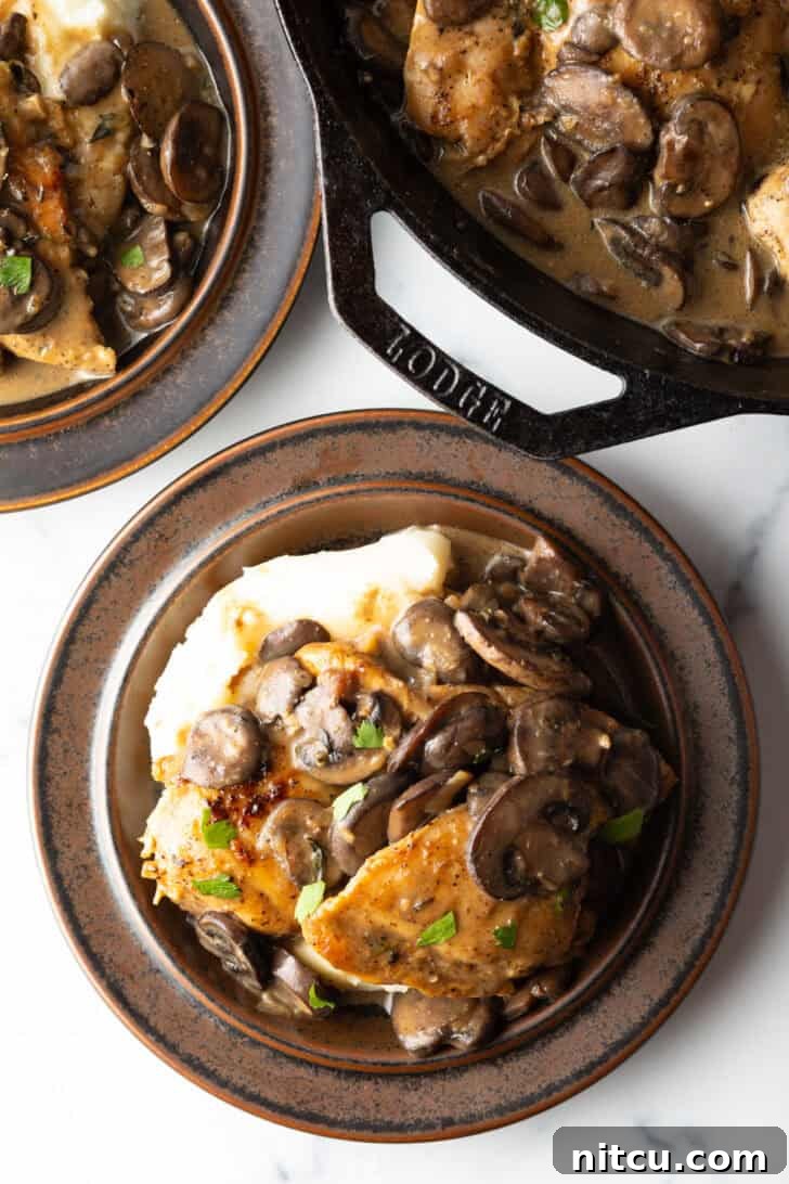 Top-down view of creamy mushroom chicken served with fluffy mashed potatoes on a rustic brown plate.