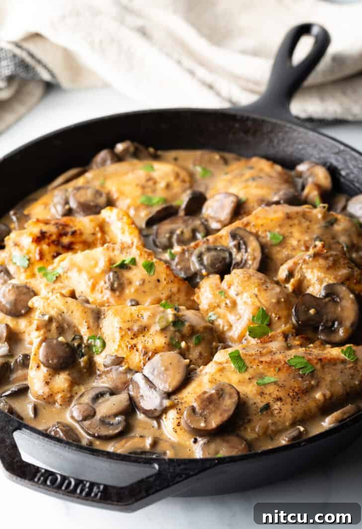 Cast iron skillet filled with seared chicken breast pieces and sliced mushrooms lovingly coated in a luscious brown gravy.