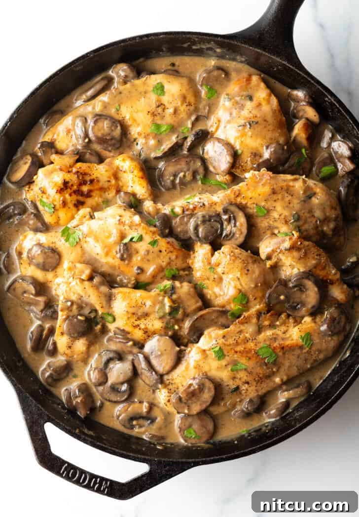 Cast iron skillet brimming with perfectly seared chicken breast pieces and sautéed sliced mushrooms in a rich brown gravy.