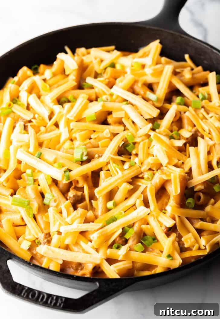 Adding shredded cheddar cheese on top of the noodle and beef casserole. The cheese covers the entire surface.