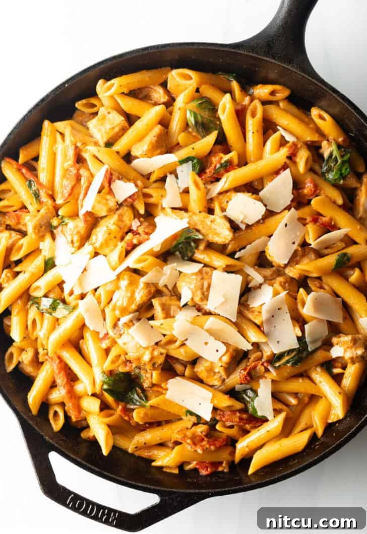 Cast iron skillet with creamy pasta, chicken, and vibrant sun-dried tomato sauce, ready to be served.