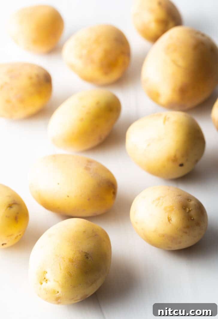 Several small yellow potatoes on a white background.