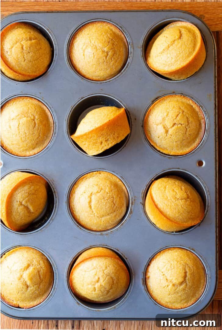 Top down view of a muffin tin filled with a dozen freshly baked golden honey cornbread muffins, showing their fluffy texture and inviting aroma.