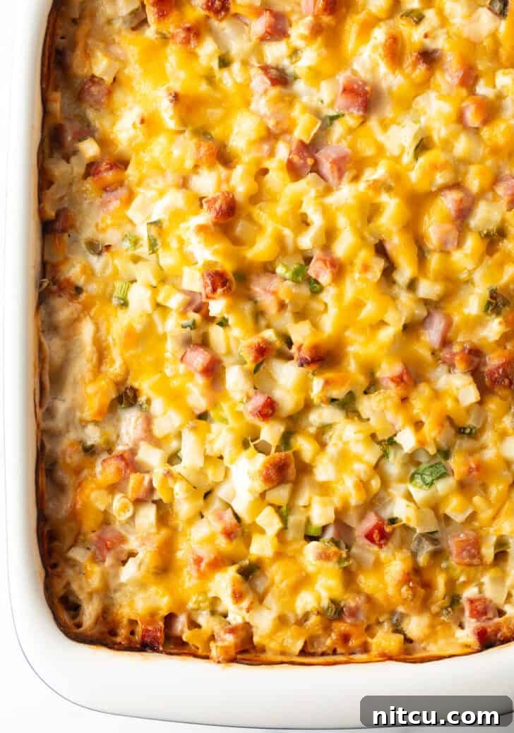 Top down view of cheesy ham and potato casserole, showcasing its golden-brown crust and melted cheese.