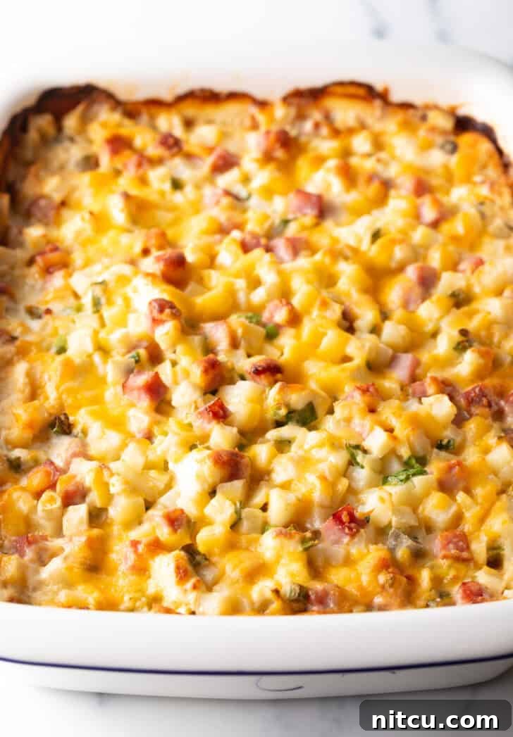 Baked ham and potato casserole, golden brown and bubbly, in a white dish.