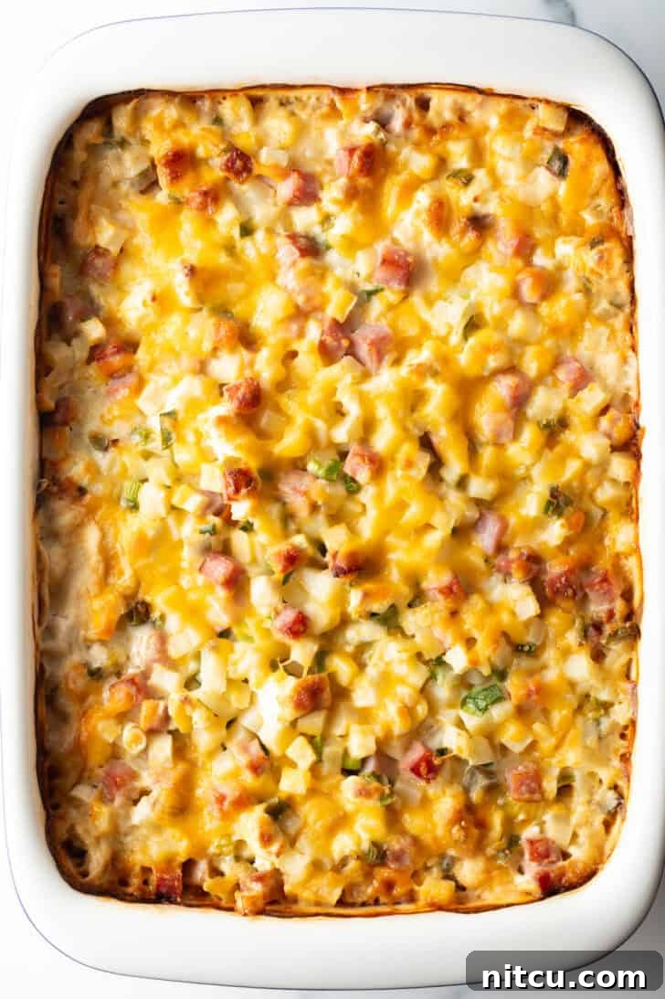 Top down view of cheesy ham and potato casserole in a serving dish, ready to eat.