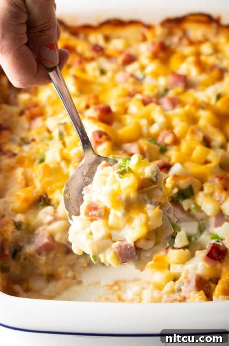 Close-up of the delicious baked ham and potato casserole, showing texture and golden crust.