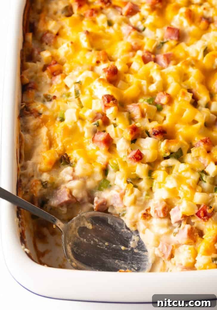 Top down view of a white casserole dish filled with baked ham and potatoes, with a serving spoon removing a portion.