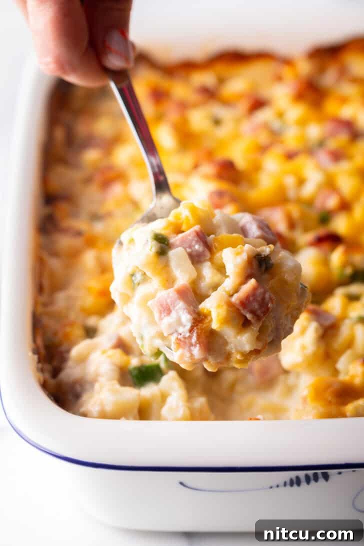 Hand holding a metal spoon full of cheesy ham and potato casserole, showing the gooey cheese and tender ingredients.
