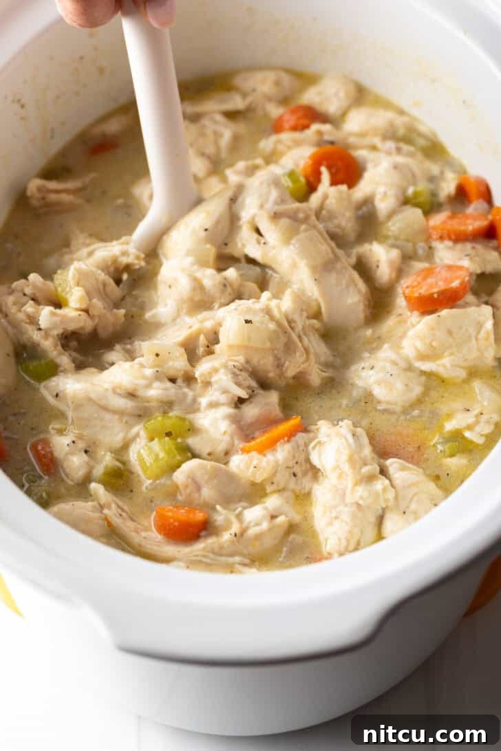 A spoon stirring chicken and dumplings with tender carrots in a white crock pot, ensuring all ingredients are well combined and heated.