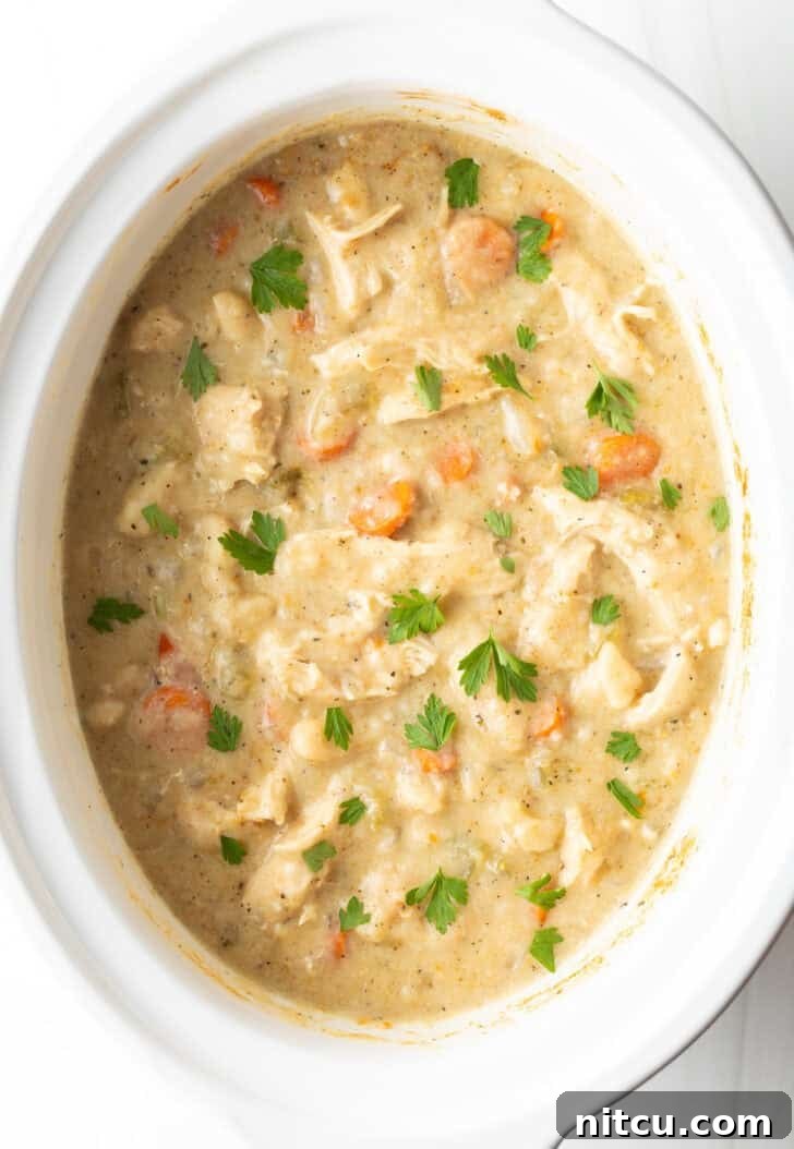 A white crock pot brimming with cooked chicken and dumplings, generously sprinkled with fresh parsley, ready for serving.