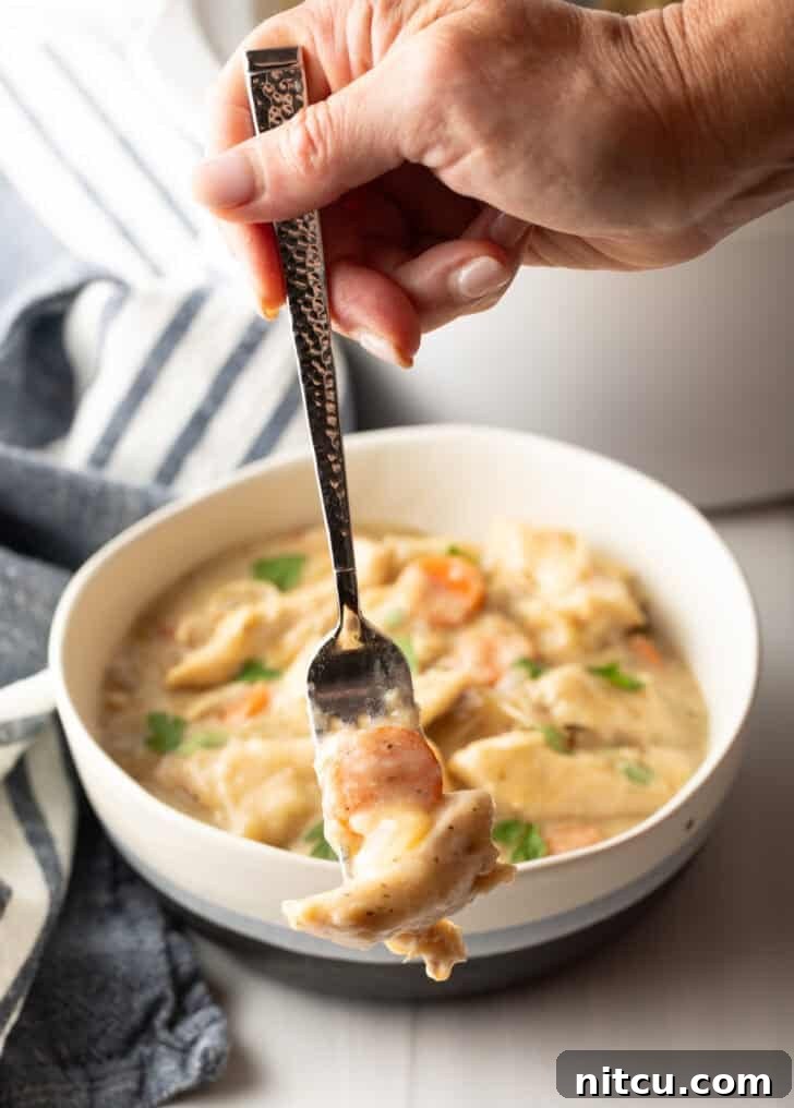 A hand holds a forkful of savory chicken and dumplings, steam gently rising, showcasing the tender chicken and fluffy dumpling texture.