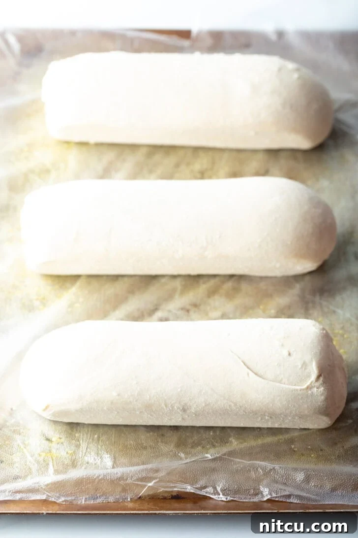 Three loaves of frozen bread dough on a baking sheet.