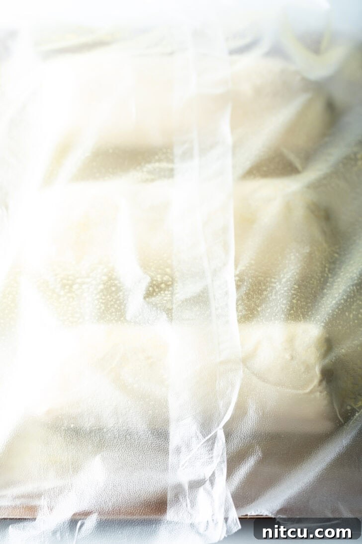 Three loaves of frozen bread dough on a baking sheet covered with plastic.