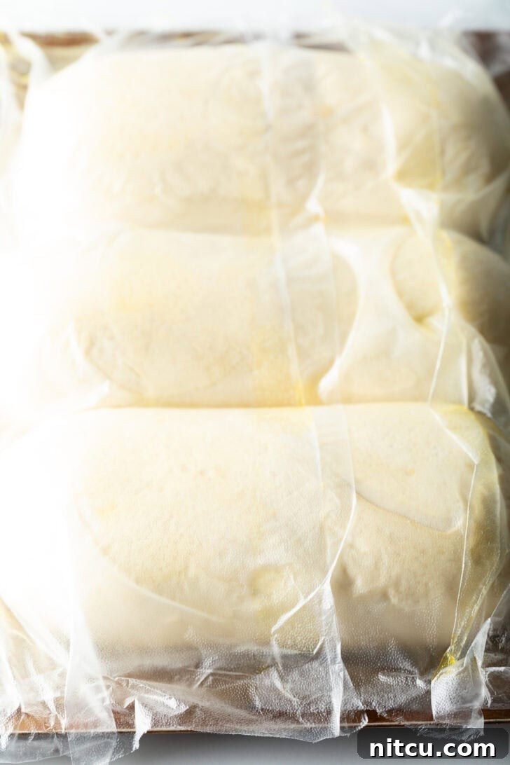 Three loaves of frozen bread dough on a baking sheet covered with plastic.