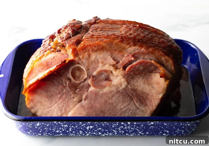 A raw spiral ham sits in a blue and white speckled roasting pan, before being cooked, ready for preparation.