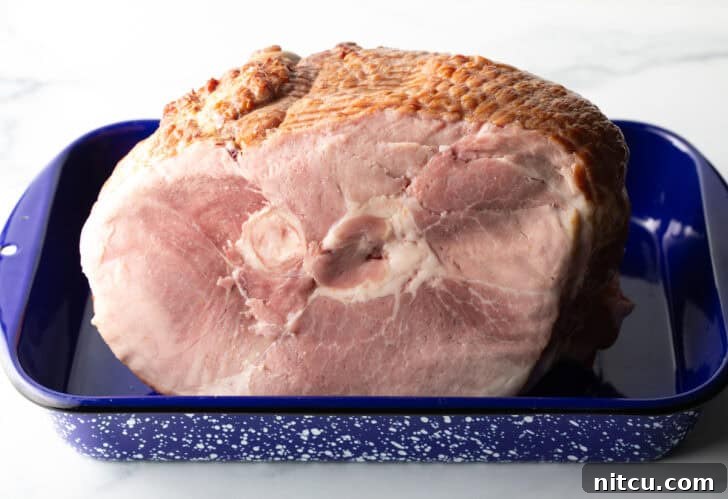 A cooked spiral ham, partially glazed, being removed from the oven in a blue and white speckled roasting pan, ready for the final glaze application.