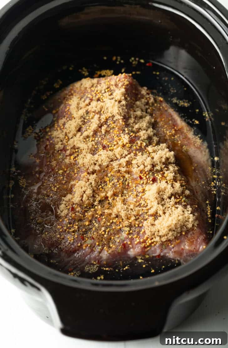 Whole seasoned beef brisket in a black slow cooker.
