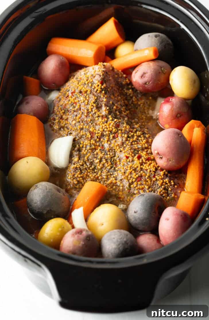 Whole seasoned beef brisket surrounded by raw chunks of carrots and baby potatoes in a black slow cooker.