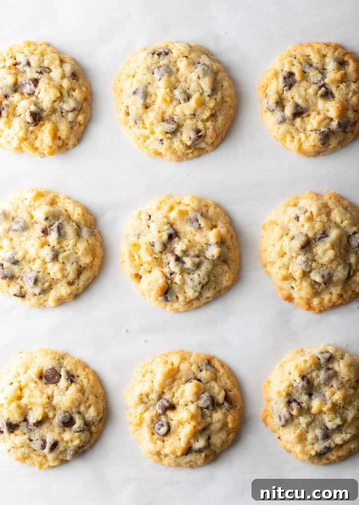 Overhead view of three rows of freshly baked potato chip cookies on a parchment-lined baking sheet.