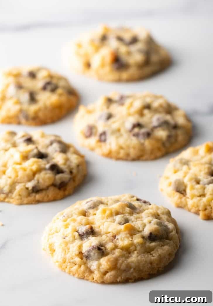 Close-up shot of several baked potato chip cookies, showing their texture and the golden brown edges.