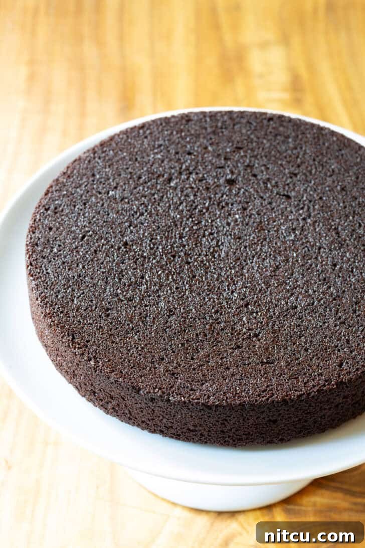 Round chocolate cake base.