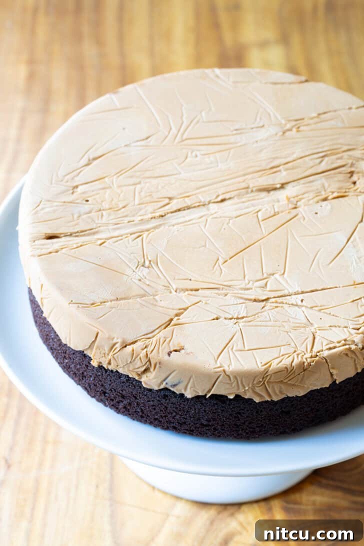 Disc of caramel ice cream layered on top of round chocolate cake base.