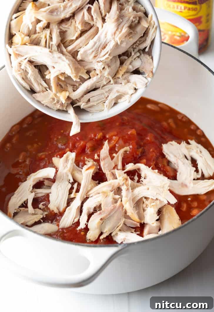 Adding tender, cooked shredded chicken to the simmering pot, where it joins the rich tomato sauce and beans, ready to absorb the incredible flavors and become a hearty component of the chili.