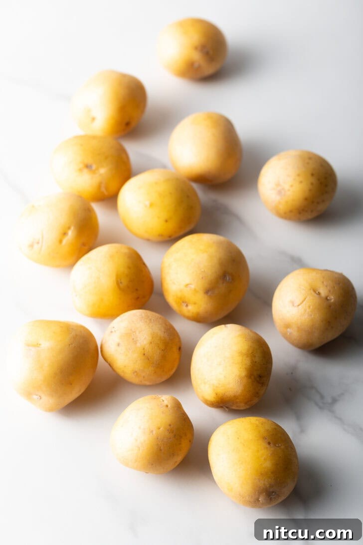 A dozen small yellow raw. potatoes