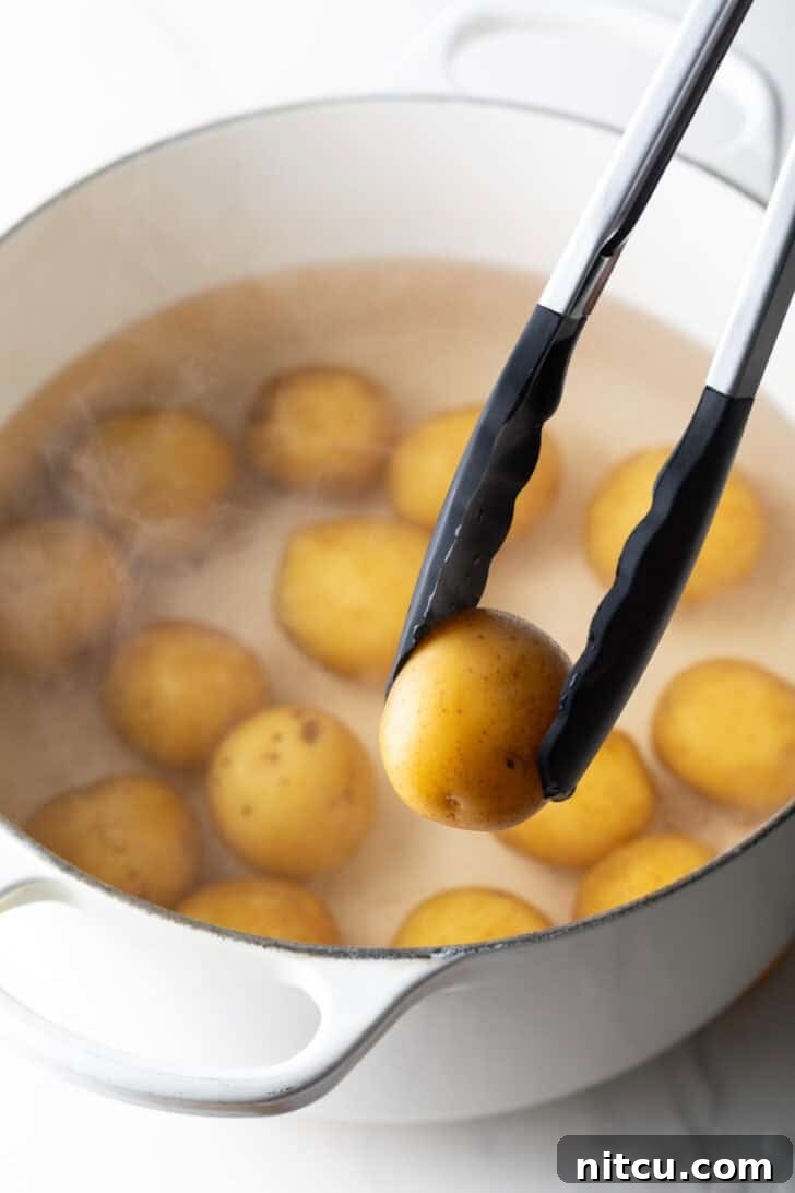 Tongs holding a small boiled potato over a large white pot with a dozen small potatoes.