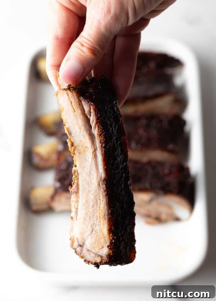 Close-up of a single St. Louis rib being held, showing its perfectly cooked interior.