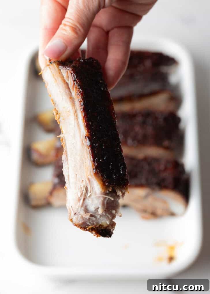 Close-up shot of a single St. Louis rib, showcasing its smoky bark and tender meat.
