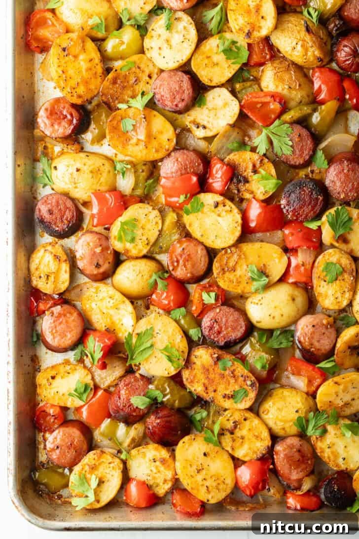 Overhead view of the finished sheet pan kielbasa and potatoes recipe, garnished with fresh parsley and ready to serve.